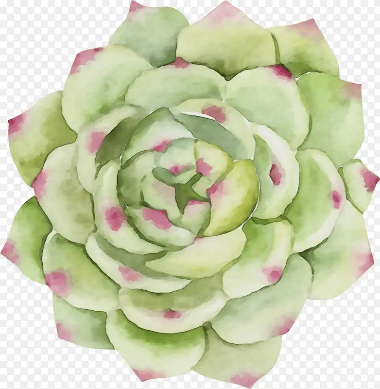 ˮ�� ���� ʪīˮ-������