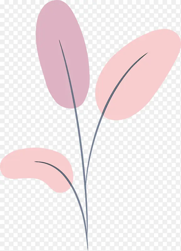 �� ֲ�� ��ѧ-������