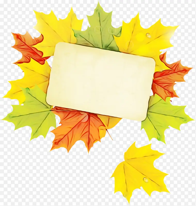 ˮ�ʻ� ���� ʪī-������