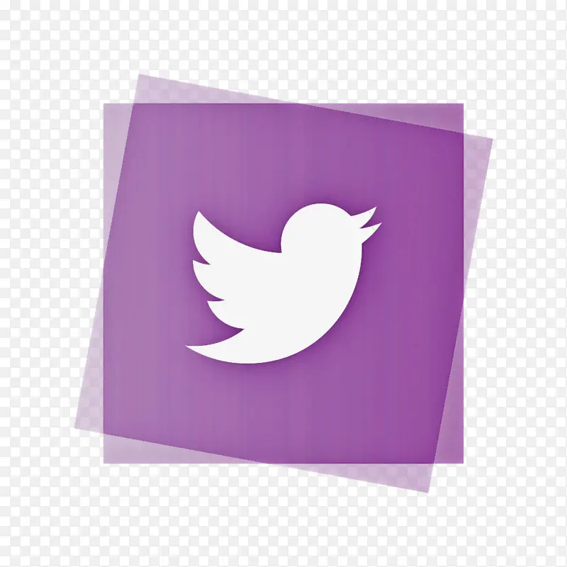 ��ƵƬ�� �罻ý�� ����-������