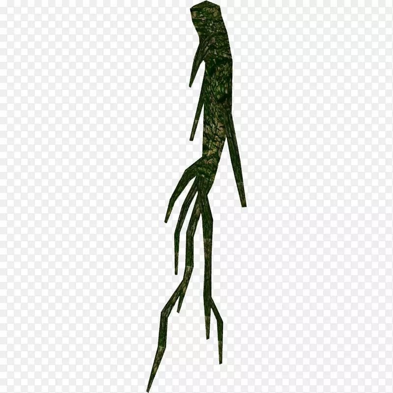 Ҷֲ�ﾥ��-��-������