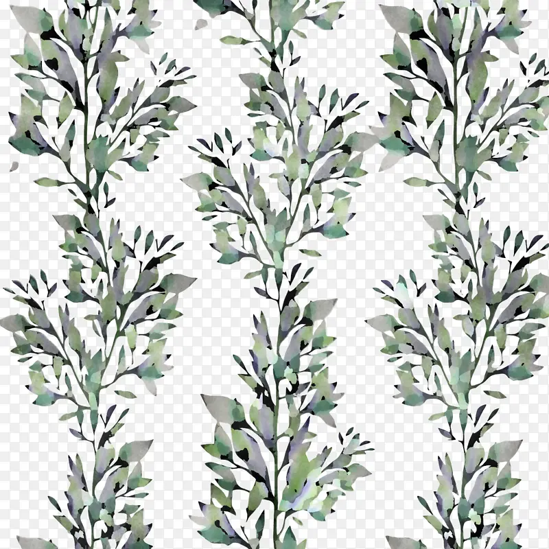 ��֦ Ҷ�� ֲ�ﾥ-������