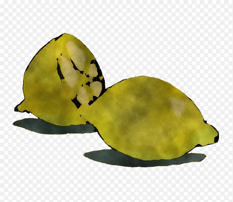 ��ͨˮ�� ������ˮ�� ˮ��-������