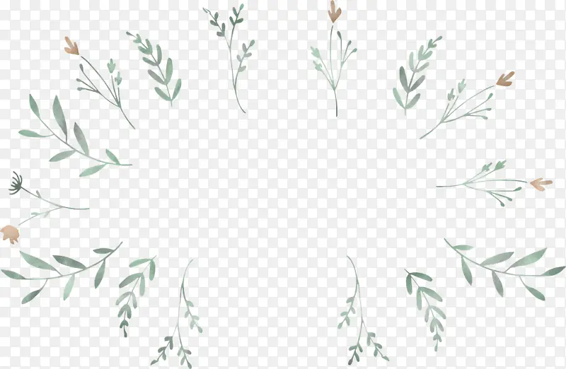 Ҷ֦ ��֦ Ҷ��-������