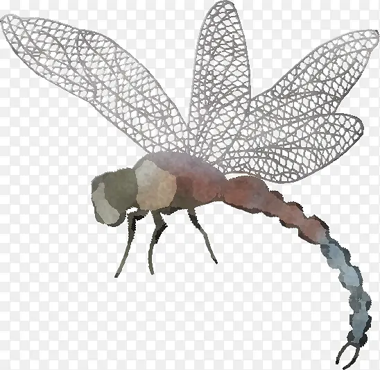 ���� ���� �۳�Ŀ-������