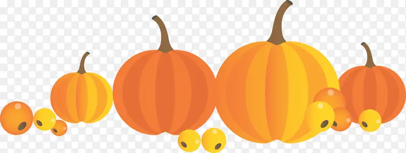 �ж��ڿ��ֱ��� �＾���ֱ��� ��������-������