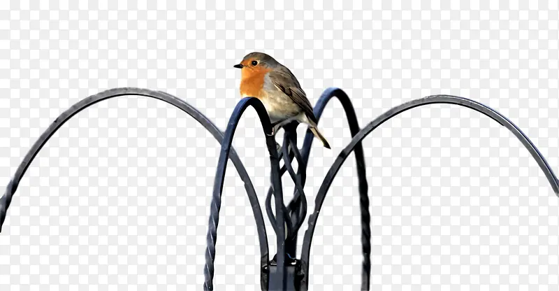 � ������� ����-������