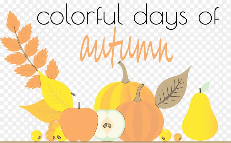 �ж��ڿ���-������