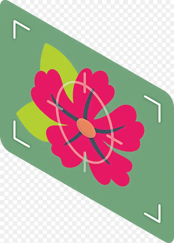 Ҷ�� ֲ�ﾥ ˮ�ʻ�-������