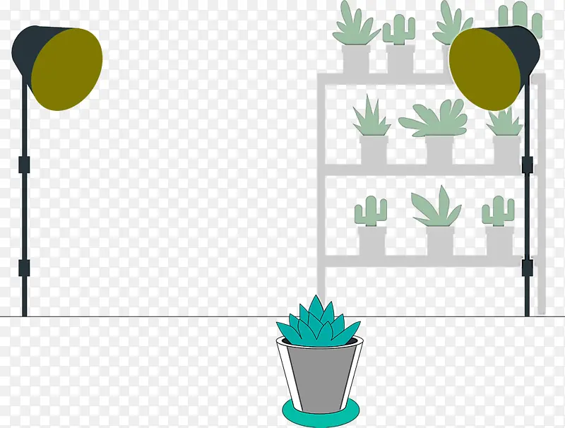 ���������Ա ˮ�ʻ� ����-������