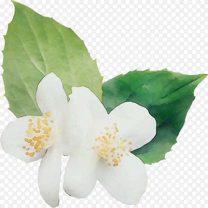 ˮ�� ���� ʪīˮ-������