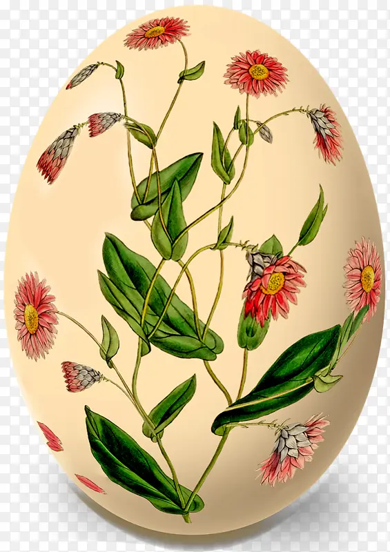 �ɹ���Ʒ���� �� �;���װ-������