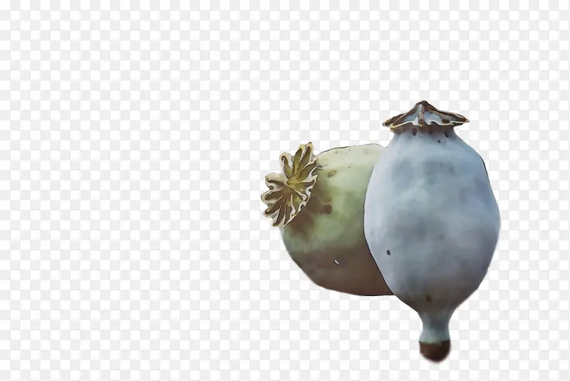 ˮ�� ���� ʪīˮ-������