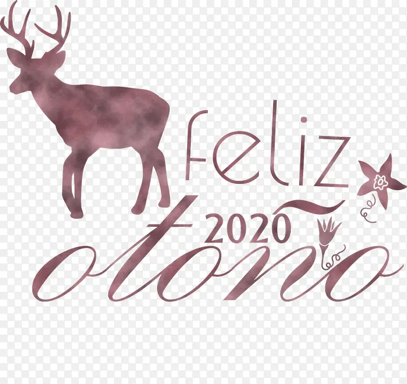 �������� ¹ ��β¹-������