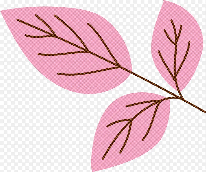 ���� Ҷ�� ֲ��-������