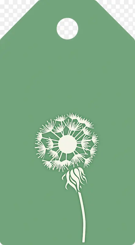 �ѹ�Ӣ��ǩ ˮ�ʻ� ����-������