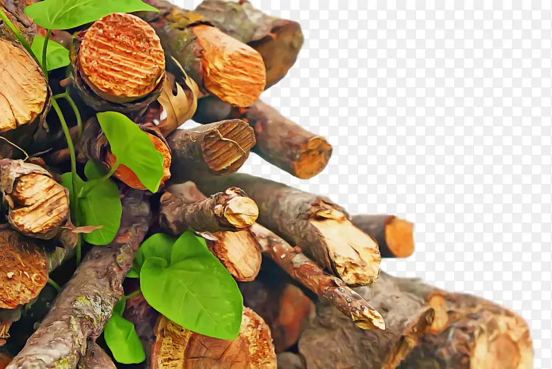 ľ�� ��֦ ľ��ֲ��-������