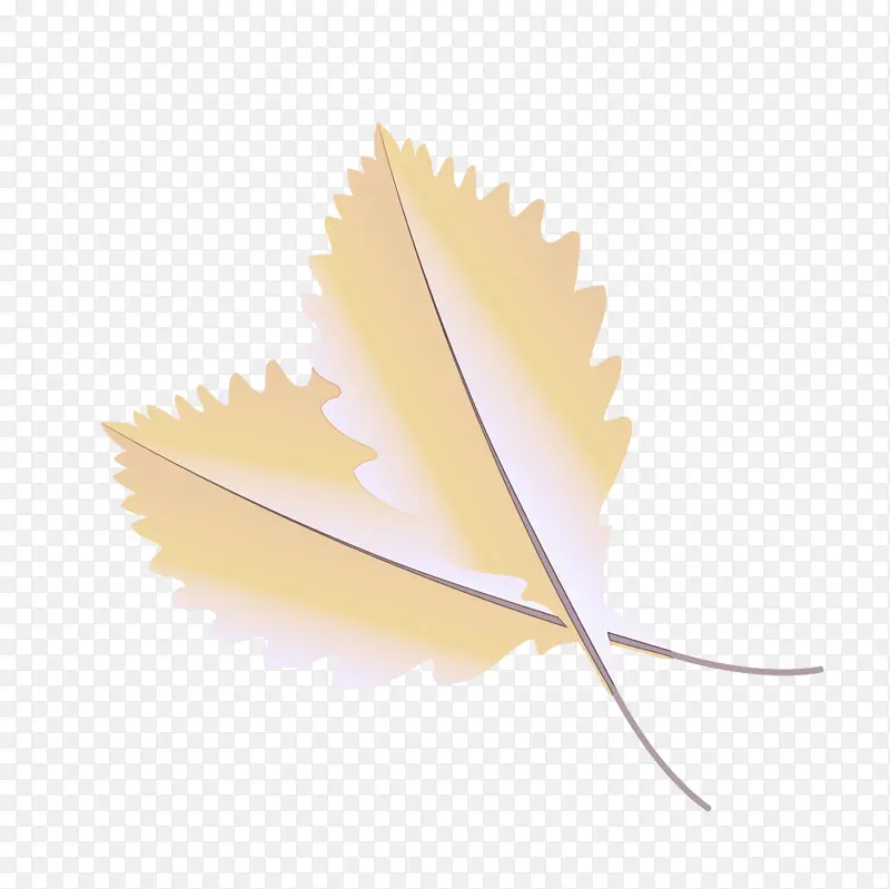 ��Ҷ ��ͨҶ ˮ�ʻ�-������