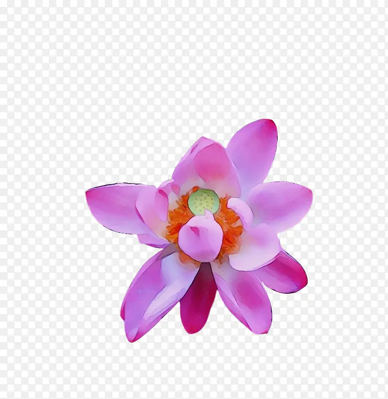 ˮ�ʻ� ���� ʪī-������