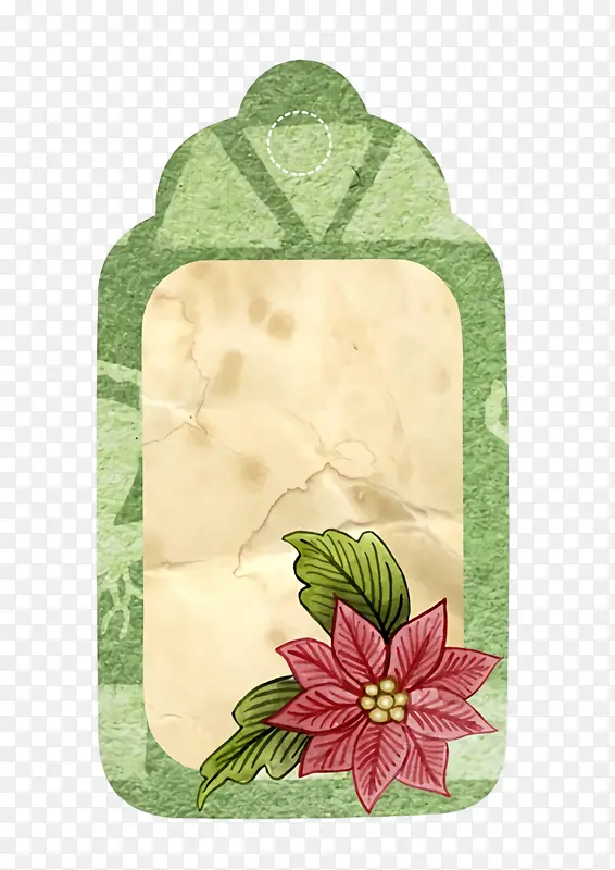 Ҷ ����ѧ ֲ��ṹ-������