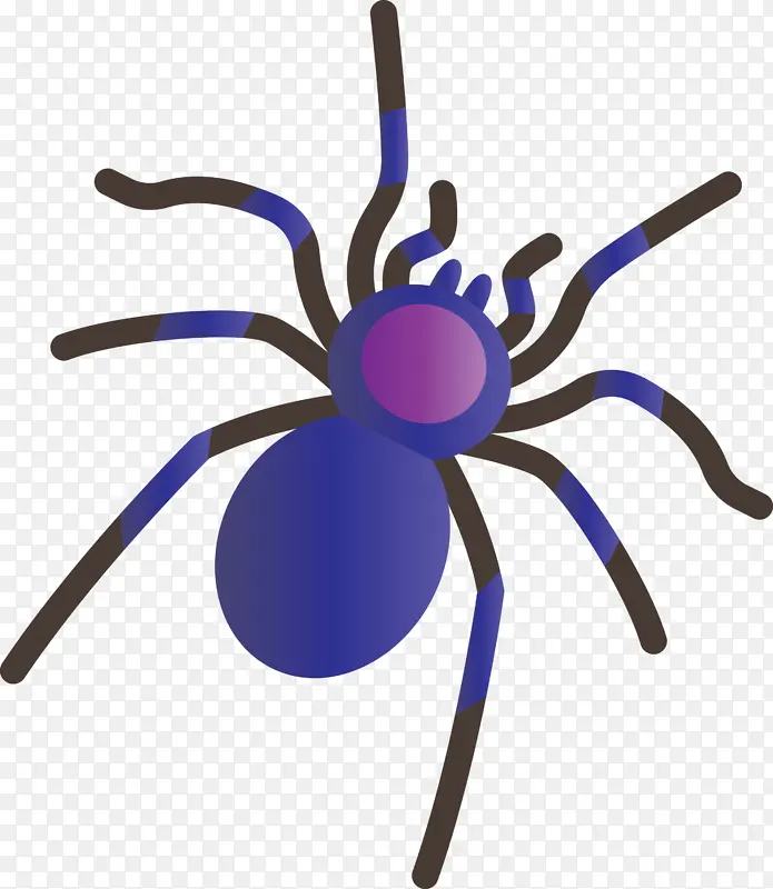 ��ͨ֩�� ���� ֩���-������