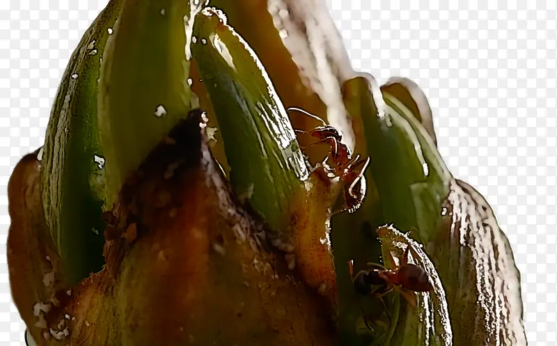 ���� ���� ����-������