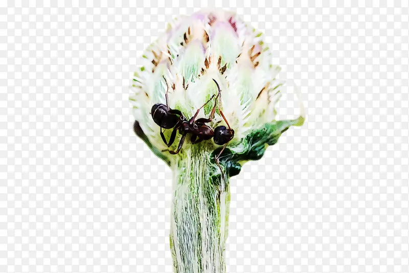 �л� ���� ��-������