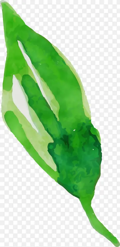 ˮ�ʻ����� ˮ�ʻ�����Ҷ�� ˮ�ʻ�Ҷ��-������