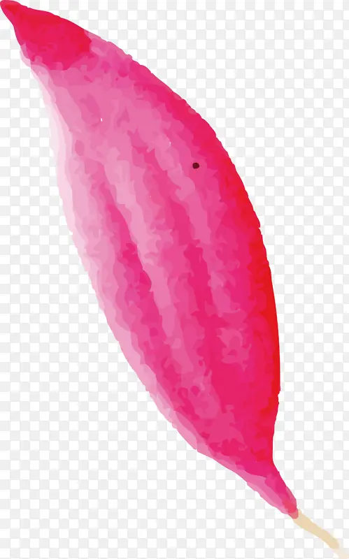 ˮ�ʻ����� ˮ�ʻ�����Ҷ�� ˮ�ʻ�Ҷ��-������