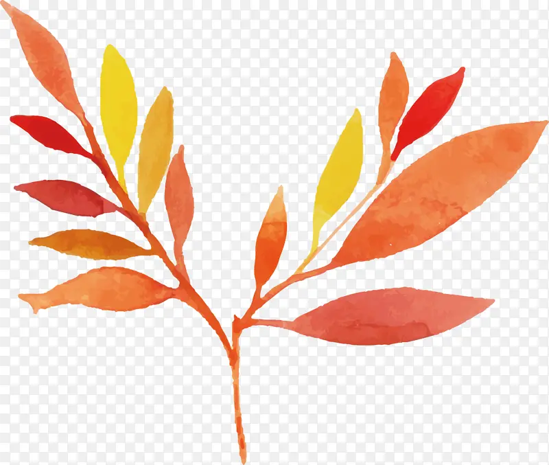 ˮ�ʻ����� ˮ�ʻ�����Ҷ�� ˮ�ʻ�Ҷ��-������