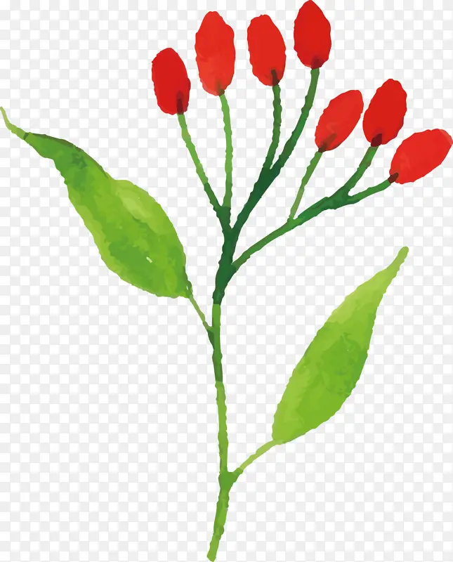 ˮ�ʻ����� ˮ�ʻ�����Ҷ�� ˮ�ʻ�Ҷ��-������