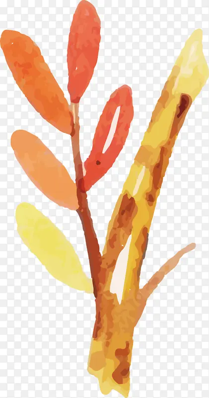 ˮ�ʻ����� ˮ�ʻ�����Ҷ�� ˮ�ʻ�Ҷ��-������