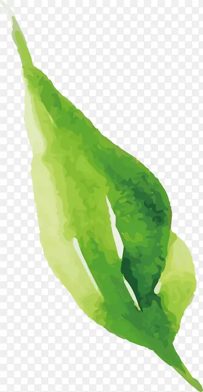 ˮ�ʻ����� ˮ�ʻ�����Ҷ�� ˮ�ʻ�Ҷ��-������