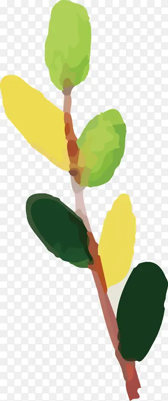 ˮ�ʻ����� ˮ�ʻ�����Ҷ�� ˮ�ʻ�Ҷ��-������