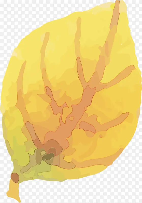 ˮ�ʻ����� ˮ�ʻ�����Ҷ�� ˮ�ʻ�Ҷ��-������