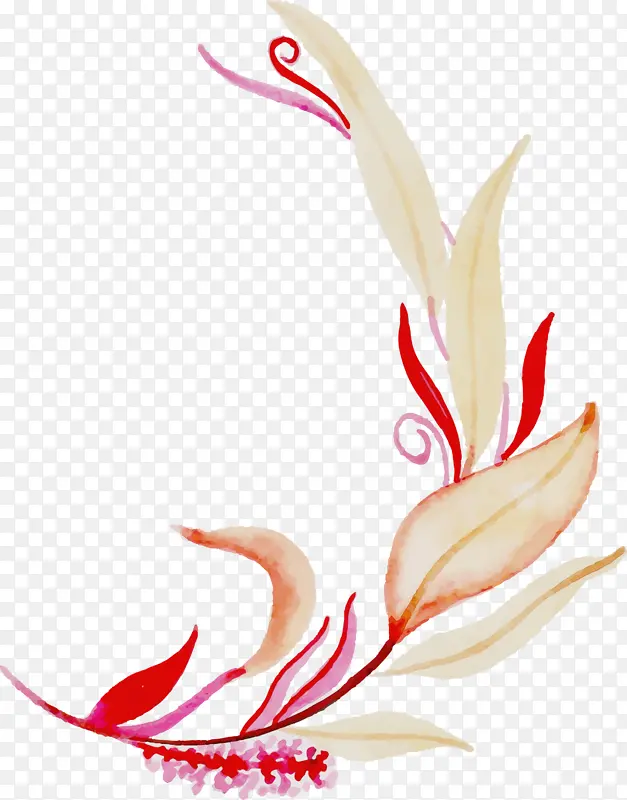 ˮ�ʻ����� ˮ�ʻ���Ҷ ˮ�ʻ�Ҷ��-������