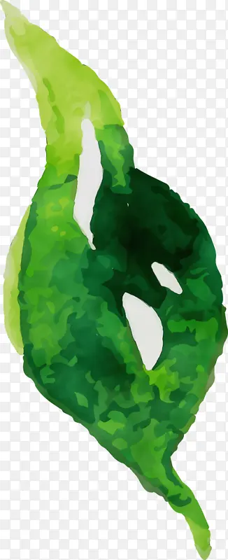 ˮ�ʻ����� ˮ�ʻ�����Ҷ�� ˮ�ʻ�Ҷ��-������