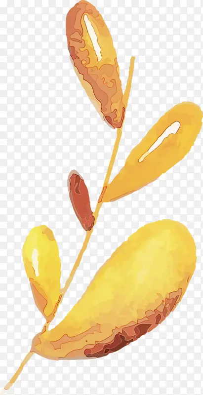 ˮ�ʻ����� ˮ�ʻ�����Ҷ�� ˮ�ʻ�Ҷ��-������