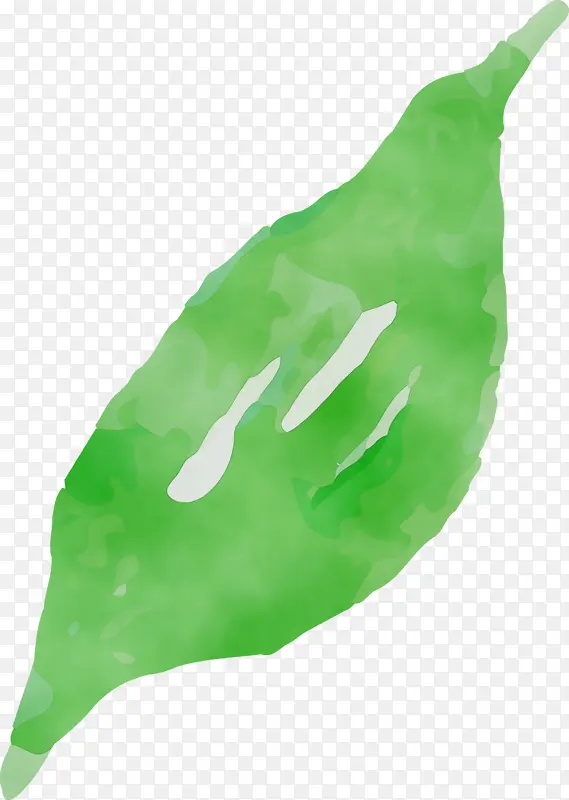 ˮ�ʻ����� ˮ�ʻ�����Ҷ�� ˮ�ʻ�Ҷ��-������