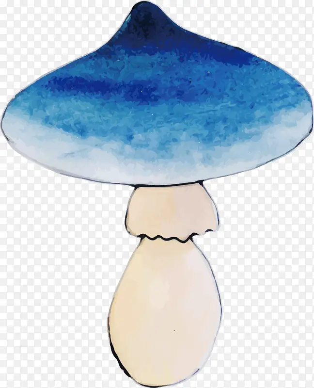 ˮ��Ģ��-������