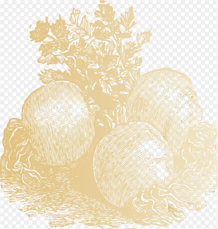 �߲� ����Ʒ-������