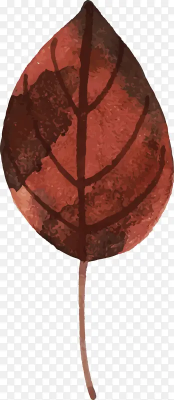 ˮ�ʻ����� ˮ�ʻ�Ҷ�� ��ɫҶ��-������