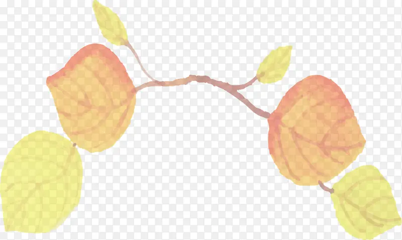 ˮ�ʻ����� ˮ�ʻ�Ҷ�� ��ɫҶ��-������