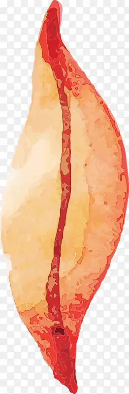 ˮ�ʻ����� ˮ�ʻ�����Ҷ�� ˮ�ʻ�Ҷ��-������