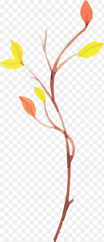 ˮ�ʻ����� ˮ�ʻ�Ҷ�� ˮ�ʻ�-������