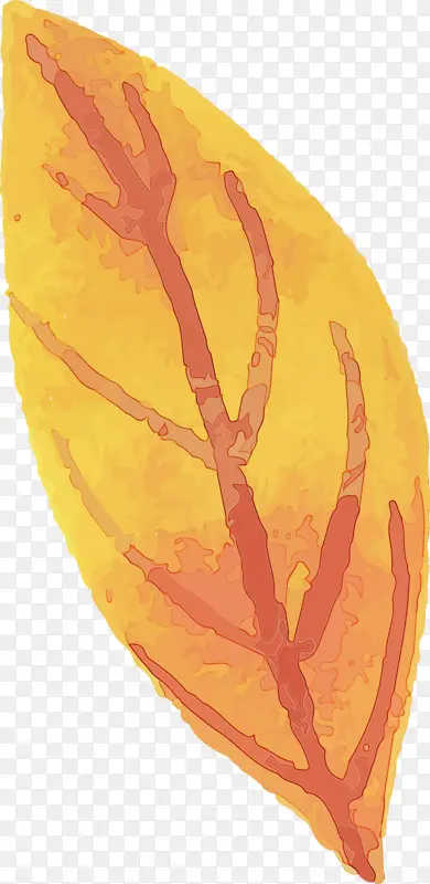 ˮ�ʻ����� ˮ�ʻ�Ҷ�� ˮ�ʻ�-������