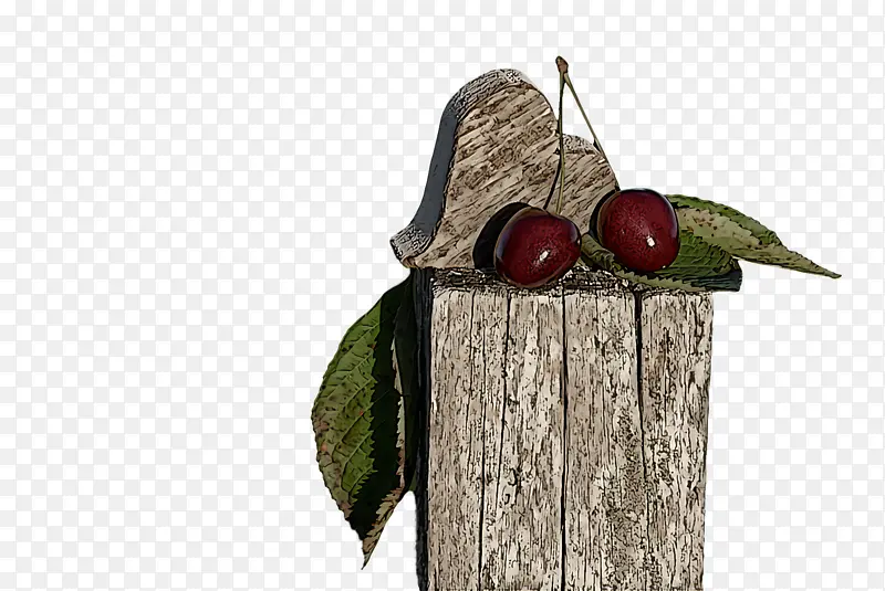 ˮ��-������