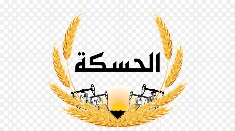 �滭 ��ͨ ����-������