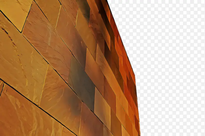 �ذ� ���� ����-������