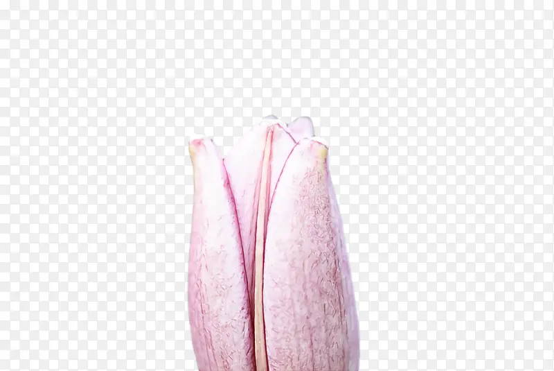 �ؽ� ��������ѧ ����ѧ-������